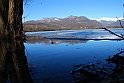 Lago Piccolo di Avigliana ghiacciato_060